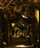 DoctorWho_5x09_ColdBlood_0041.jpg