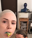 0003.jpg